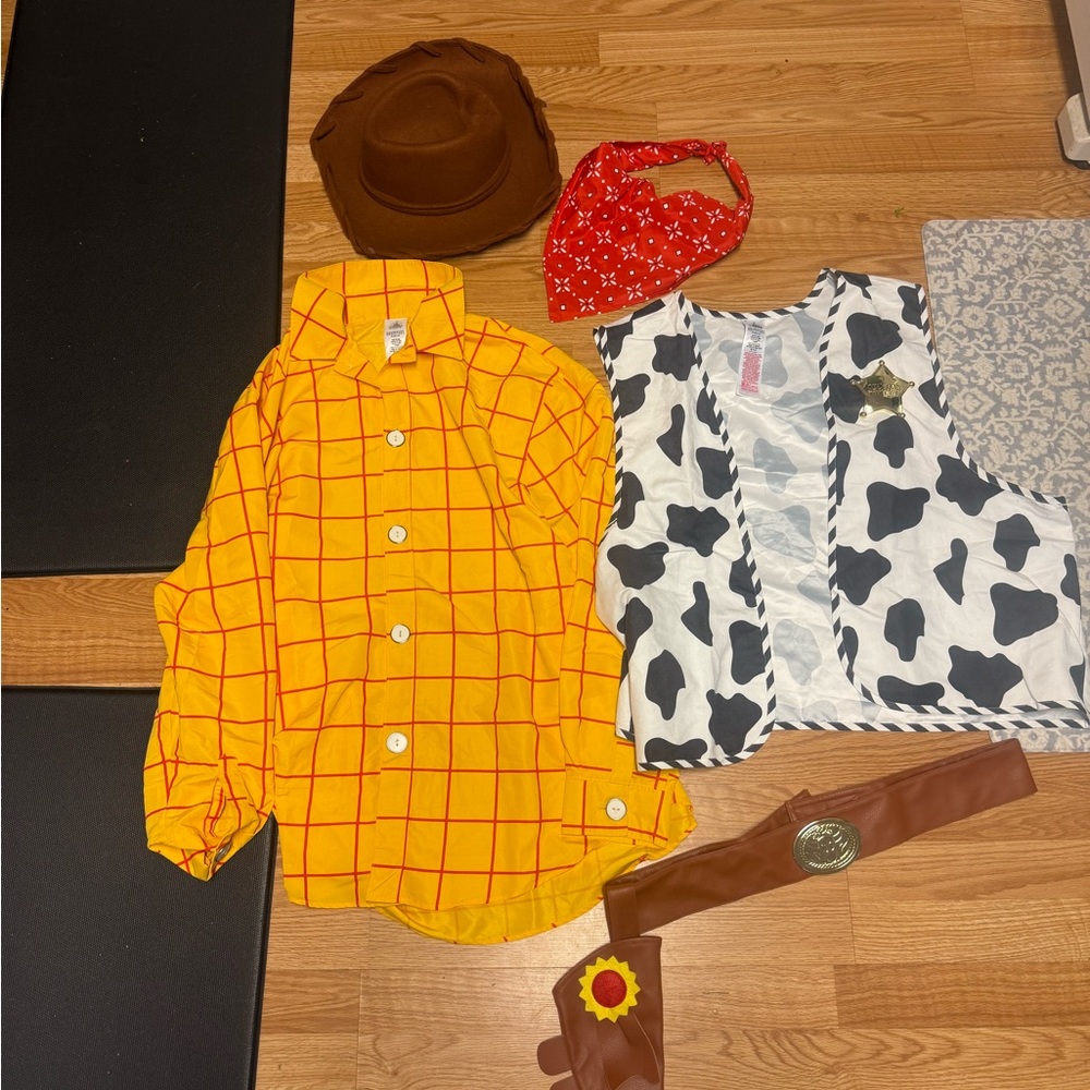 Men’s Woody Costume